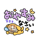小豆くんだよ（個別スタンプ：24）