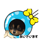 まめうにぽちゃ（個別スタンプ：4）