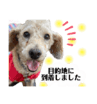 アニマルホープ スタンプ②（個別スタンプ：9）