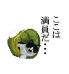 木更津猫チョビすけ_05（個別スタンプ：22）