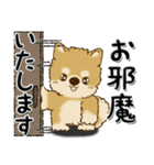 柴犬・ちゃちゃ丸39『敬語』（個別スタンプ：4）