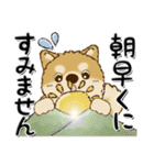 柴犬・ちゃちゃ丸39『敬語』（個別スタンプ：5）