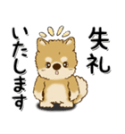 柴犬・ちゃちゃ丸39『敬語』（個別スタンプ：8）