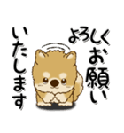 柴犬・ちゃちゃ丸39『敬語』（個別スタンプ：16）