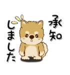 柴犬・ちゃちゃ丸39『敬語』（個別スタンプ：25）