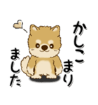 柴犬・ちゃちゃ丸39『敬語』（個別スタンプ：26）