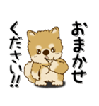 柴犬・ちゃちゃ丸39『敬語』（個別スタンプ：29）