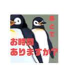 ペンギンのつぶやき4（個別スタンプ：5）