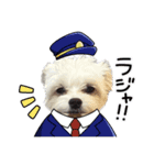 モコ no1（個別スタンプ：1）