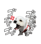 モコ no1（個別スタンプ：10）