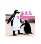 ペンギンのつぶやき5（個別スタンプ：3）