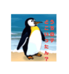 ペンギンのつぶやき5（個別スタンプ：6）