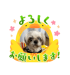 くんにちは（個別スタンプ：2）