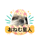 くんにちは（個別スタンプ：4）