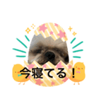 くんにちは（個別スタンプ：5）