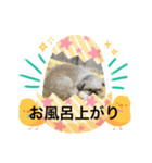 くんにちは（個別スタンプ：6）