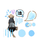 日常スタンプ  ROI（個別スタンプ：18）