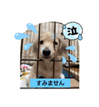 日常スタンプ  ROI（個別スタンプ：20）