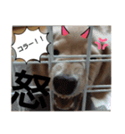 日常スタンプ  ROI（個別スタンプ：23）