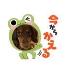 ゆかいな息子たちスタンプ（個別スタンプ：1）