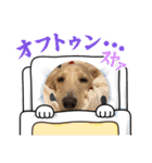 ゆかいな息子たちスタンプ（個別スタンプ：4）