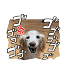 ゆかいな息子たちスタンプ（個別スタンプ：8）