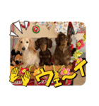 ゆかいな息子たちスタンプ（個別スタンプ：9）