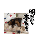 ゆかいな息子たちスタンプ（個別スタンプ：11）