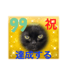 黒猫 ルナ院長99にゃんめ（個別スタンプ：1）