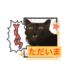 黒猫 ルナ院長99にゃんめ（個別スタンプ：3）