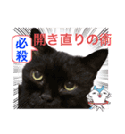 黒猫 ルナ院長99にゃんめ（個別スタンプ：7）