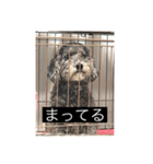 もじゃもじゃ『日常ver.』（個別スタンプ：2）
