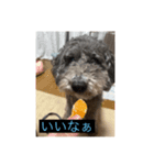 もじゃもじゃ『日常ver.』（個別スタンプ：4）
