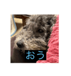 もじゃもじゃ『日常ver.』（個別スタンプ：5）