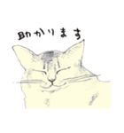 ねこのオーディン（個別スタンプ：8）