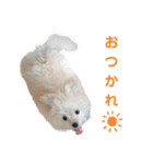 わが家のアニマルズ（個別スタンプ：6）