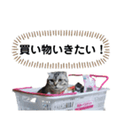 わが家のアニマルズ（個別スタンプ：7）