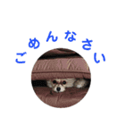 わが家のアニマルズ（個別スタンプ：9）