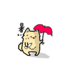 ポメラニアンもふもふライフ夏（個別スタンプ：12）