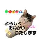 しらたまさん③（個別スタンプ：6）