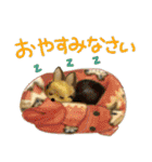 犬の生活 スタンプ（個別スタンプ：12）