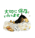 犬の生活 スタンプ（個別スタンプ：14）