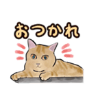 つなまよイラストスタンプ（個別スタンプ：1）