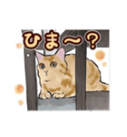 つなまよイラストスタンプ（個別スタンプ：8）