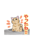 つなまよイラストスタンプ（個別スタンプ：13）