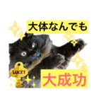 黒猫 ルナ院長100にゃんめ（個別スタンプ：3）