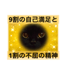 黒猫 ルナ院長100にゃんめ（個別スタンプ：5）