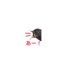 みんなよ鳥フォトLINEスタンプ②（個別スタンプ：1）