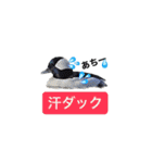 みんなよ鳥フォトLINEスタンプ②（個別スタンプ：2）