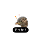 みんなよ鳥フォトLINEスタンプ②（個別スタンプ：22）